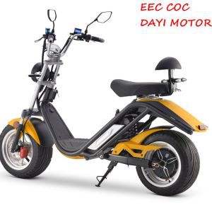 1500W 2100W EEC COC承認済みCitycoco 2019