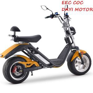 2100W Dobule Seater Citycoco